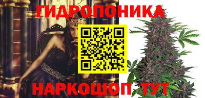 стаф Берёзовский