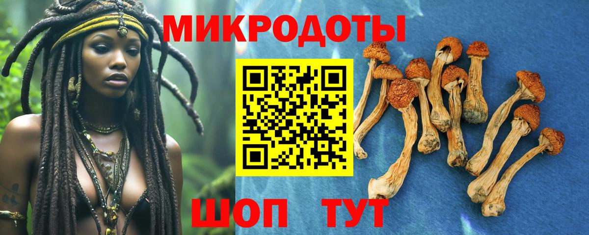 Галлюциногенные грибы мухоморы  Галлюциногенные грибы мухоморы  продажа наркотиков  Вход с VPN  Балахна 